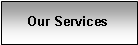 Text Box: Our Services