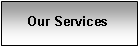 Text Box: Our Services